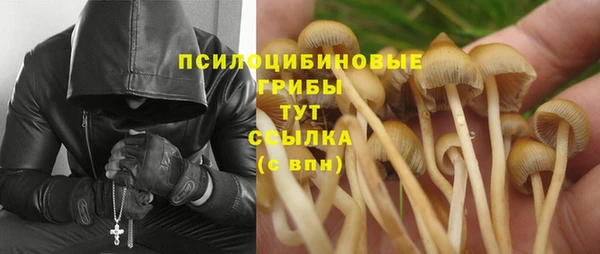 первитин Лагань
