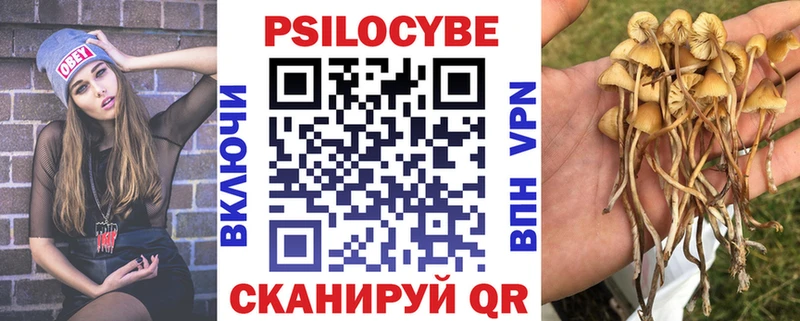 Купить где  Осташков  Псилоцибиновые грибы Psilocybine cubensis 